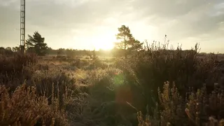 Солнце над Полем... ( 🌞🌞🌞 )