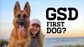 German Shepherd as a first time dog owner | GERMAN SHEPHERD AS A FIRST DOG | German Shepherd