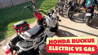 Electric VS Gas Honda Ruckus Comparison