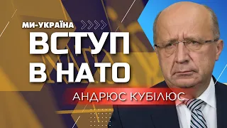 Україна вже перевищує всі стандарти НАТО. Кубілюс