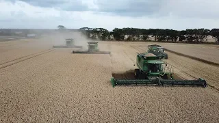 John Deere S790i & S690i w/ 40ft Headers Going full Hammer Harvesting Wheat | Danish Agriculture