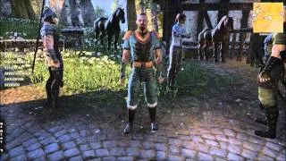 The Elder Scrolls Online - Addon ZrMiniMap