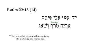 Psalm 22 -- Hebrew Bible Speaker with English Captions