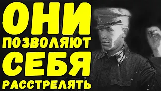 Все молчат и идут на смерть, ни один ничего не выдает | Письма с фронта