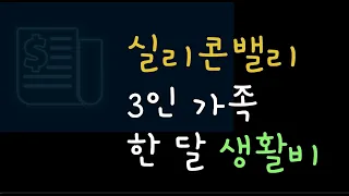 미국 실리콘밸리 생활비 얼마나 들까? 3인 가족 한달 생활비 (실제 가계부 공개)