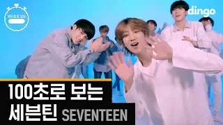 [100초] 100초로 보는 세븐틴 SEVENTEEN Choreography