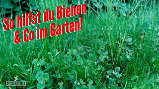 So tust du Gutes für Bienen und Co 🐝🦋🪲 Wildstreifen im Rasen, Saatbomben, Bienenwiesen und mehr