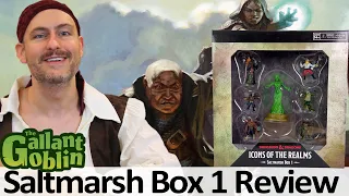 Saltmarsh Box 1 - WizKids D&D Icons of the Realms Prepainted Minis