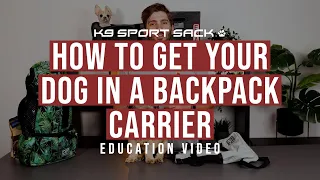 How To Get Your Dog In A Backpack Carrier - K9 Sport Sack