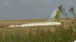 MH17's lonely crash site