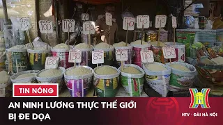 An ninh lương thực thế giới bị đe dọa | Tin thế giới