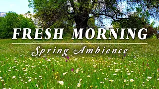 START FRESH EVERY DAY🌿🌞Wake Up with the Positive Energy of Healing Spring Sounds🌷  Morning Ambience