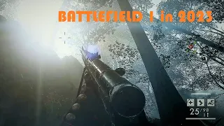 Revisiting a Masterpiece - Battlefield 1 in 2023