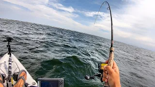 Fishing Ocean Reefs For Non-Stop Action!