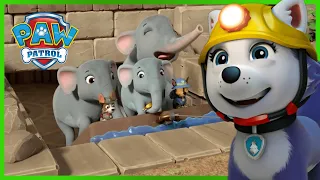 Pups save Elephants, Kitties, and more animal rescue episodes! - PAW Patrol - Cartoons for Kids