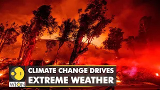 Human-induced climate change causing erratic weather | WION Climate Tracker