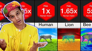 Villagers React To Human VS Animal Vision ! Tribal People React To How Animal See The World