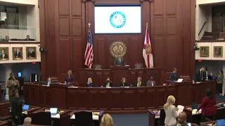 Florida Senate passes 'Parental Rights in Education' bill