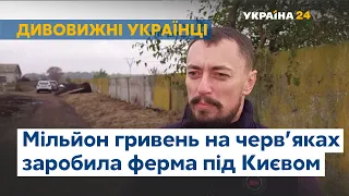 Мільйон гривень на черв'яках: під Києвом працює унікальна ферма