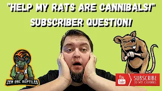 Helping A Subscriber With Her Rat Breeding Issues! "Help! My Rats Are Cannibals!!!