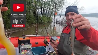 Поездка на рыбалку за 1000 км. Богучанское водохранилище. Рыбалка на спиннинг