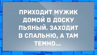 Приходит мужик домой в доску пьяный. Сборник свежих анекдотов! Юмор!