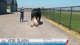 VDR Slash in beeld