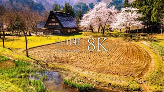 【日本三大秘境】白川郷の春を訪ねて - Japan in 8K