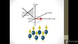 MRI Physics  Part 7 T1 ,T2 and PD اساسيات فيزياء  الرنين المغناظيسي بالعربي