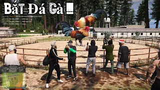 GTA 5 Roleplay #51 Hình Sự Giả Grab Đi Đá Gà Thua Và Cái Kết Báo CA Bắt Hết kkk !!!