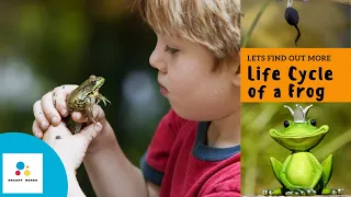 Life Cycle of a Frog | Science For Kids | Education Video For Kids