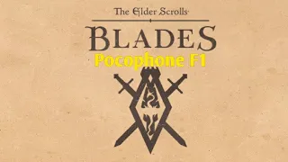 The Elder Scrolls Blades gameplay on POCOPHONE F1