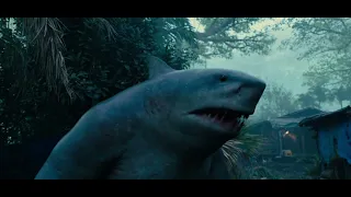 King Shark is Hungry 😋