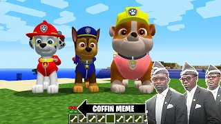 This is Real PAW PATROL in Minecraft