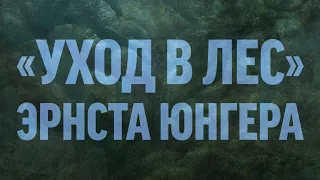 Александр Михайловский. «Уход в Лес» Эрнста Юнгера. О возможности свободы в эпоху постгуманизма.