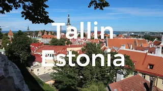 Tallin - Estonia - Travel Video 91