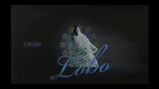 AlbertNBN-LOBO (Versuri In Descriere)