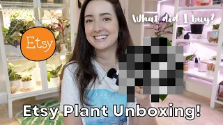 Etsy Plant Mail Unboxing! | What New Plant Did I Buy?