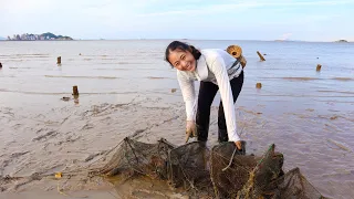 渔妹赶海捡到废弃地笼，拉起来看简直就是藏宝地，连抓几个值钱货