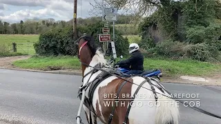 Bits, Brakes and Barefoot Driving with Gogo the Cob