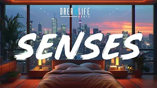 (Free) Nas x Drake type beat "Senses"