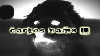 Carlos Name 3