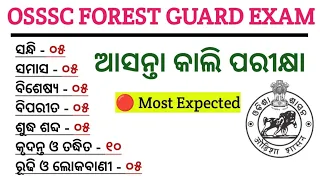 Odia Grammar Practice set Revision for OSSSC Exams || For LI/Forester/FG ||