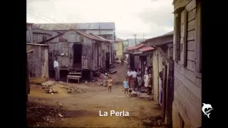 Puerto Rico 1950-2011