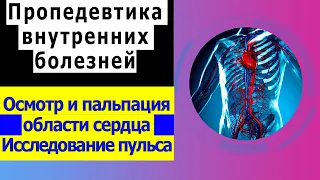 Пропедевтика внутренних болезней | Осмотр и пальпация области сердца | Исследование пульса