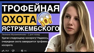 ЯСТРЖЕМБСКИЙ У СОБЧАК | О ГЛУПЫХ КОММЕНТАРИЯХ ОБ ОХОТЕ | НЕПОПУЛЯРНОЕ МНЕНИЕ