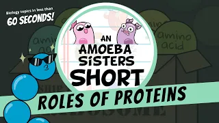 Roles of Proteins - Amoeba Sisters #Shorts