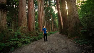 A Morning at Japan's Mysterious Mountain Shrine