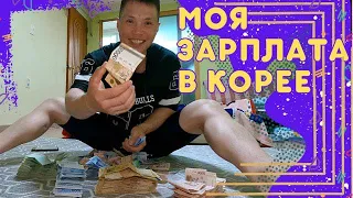 Моя ЗАРПЛАТА в Корее. Ваша РЕАКЦИЯ. Также отвечаю на ваши самые частые вопросы