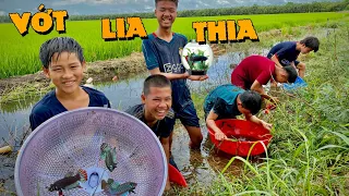 Anh Ba Phải | Một Ngày Đi Vớt Cá Lia Thia Đồng | Catching Ornamental Fish